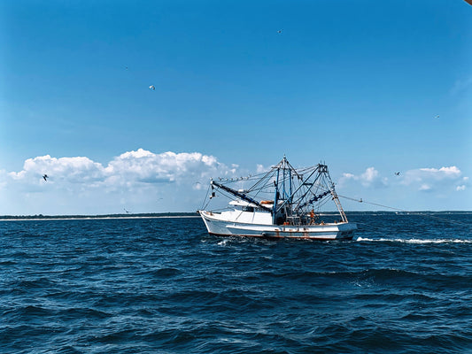 Bil lyder som en fiskekutter? Her er forklaringen